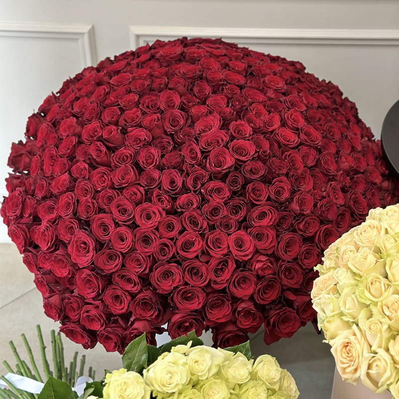 دسته گل رز هلندی