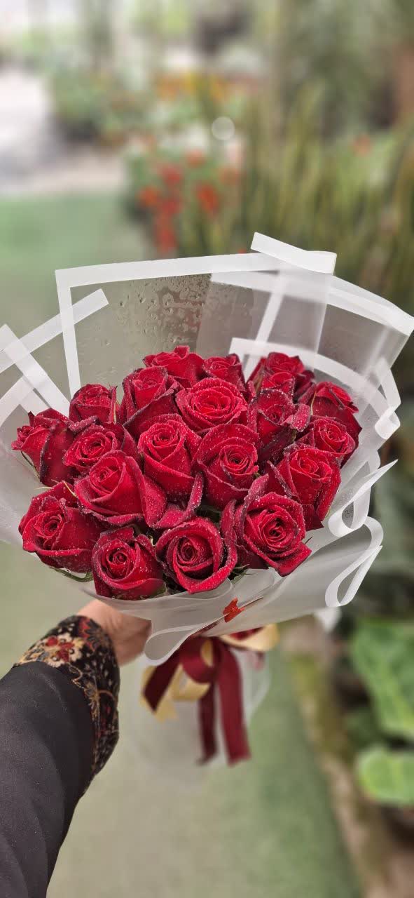 دسته گل رز قرمز با بوکت سفید